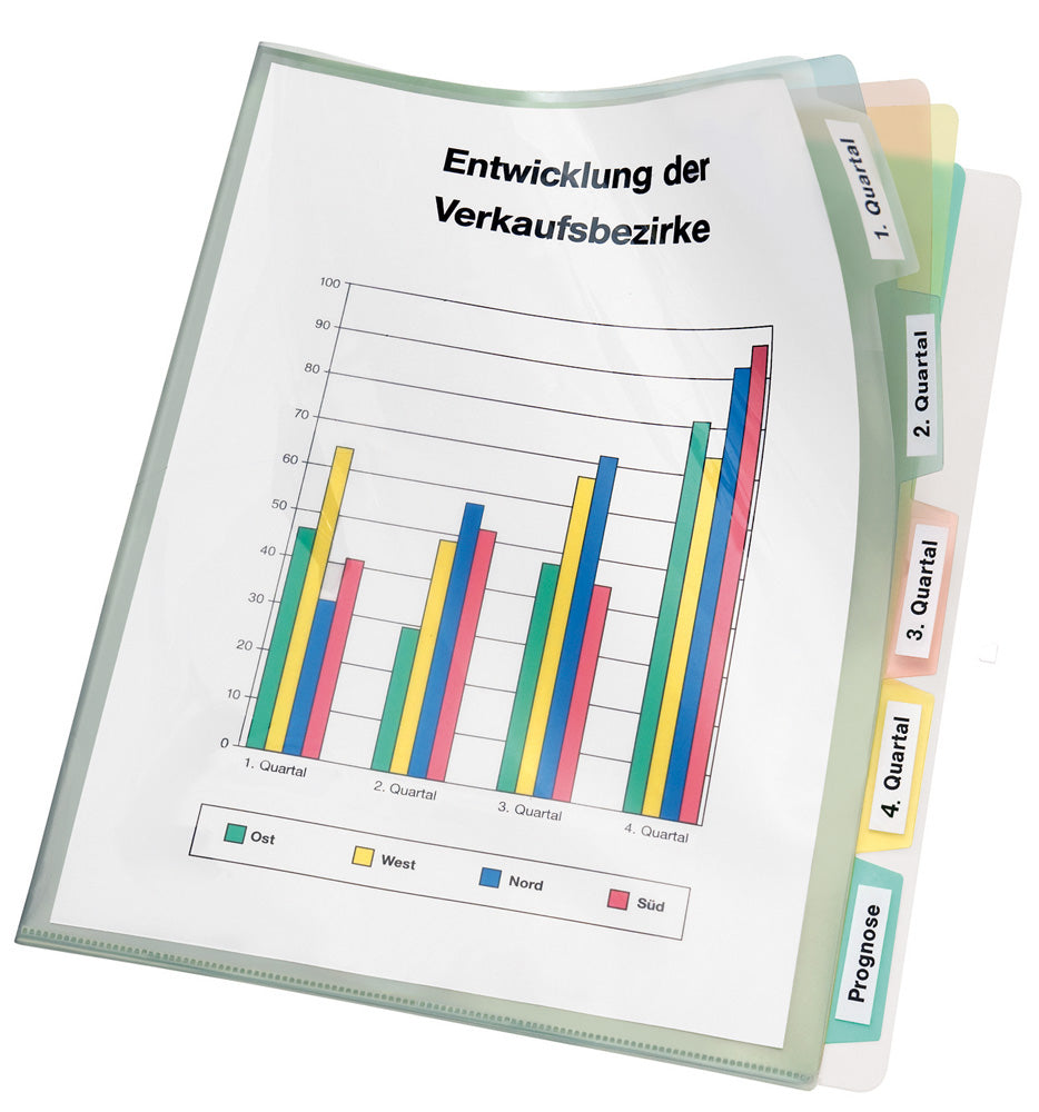 Registerhülle, DIN A4, PP-Folie, 5 blanko Taben, farbig unterteilt, transparent
