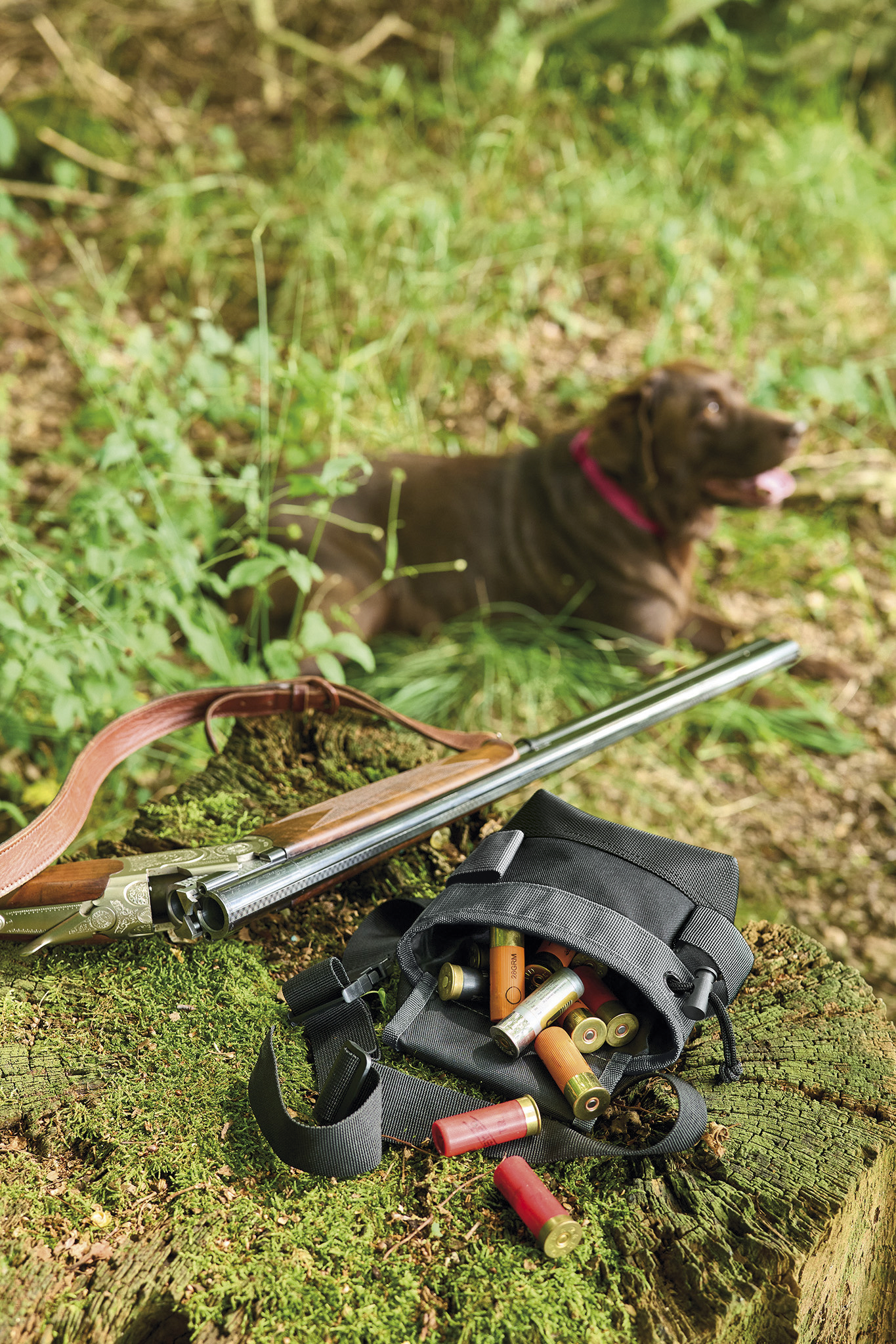 Tool Bag S, high-quality multifunctional bag, robust textile, wide strap, water-repellent fabric, black/grey