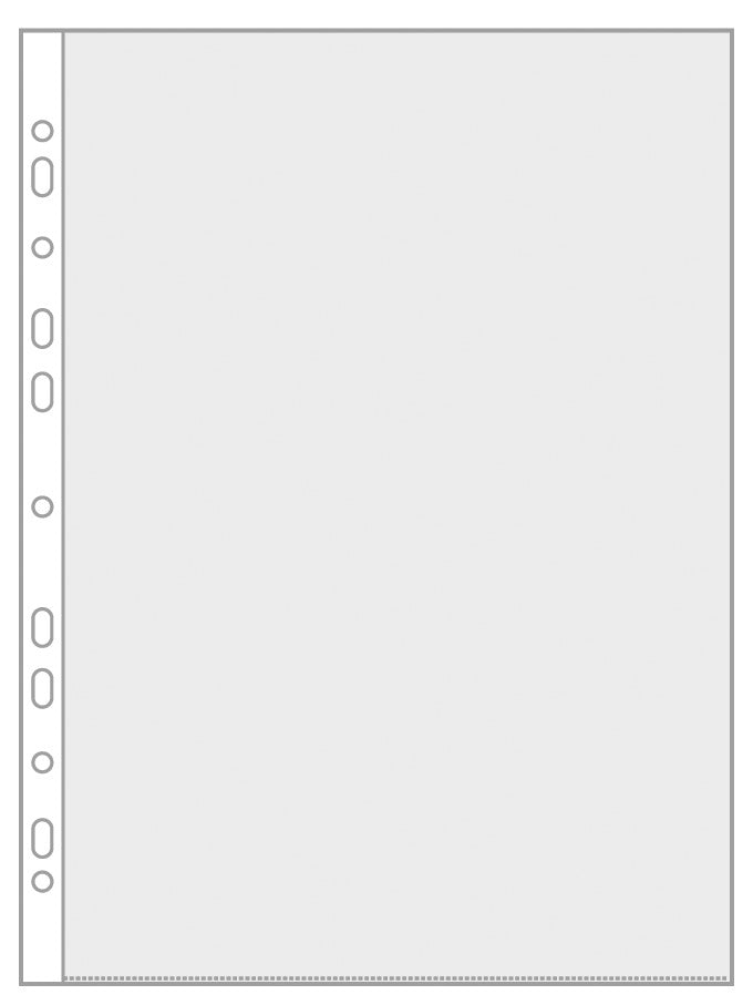 Prospekthüllen, DIN A4, PP 80 my, Eurolochung, dokumentenecht, transparent