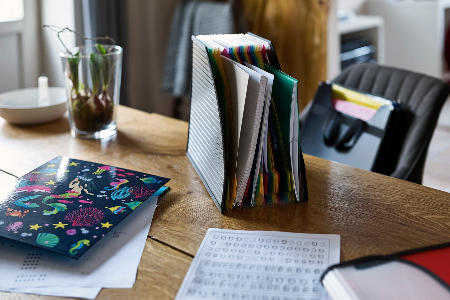 Magazine file compartment box, DIN A4, PP, colorful compartments, textile-reinforced edges, black