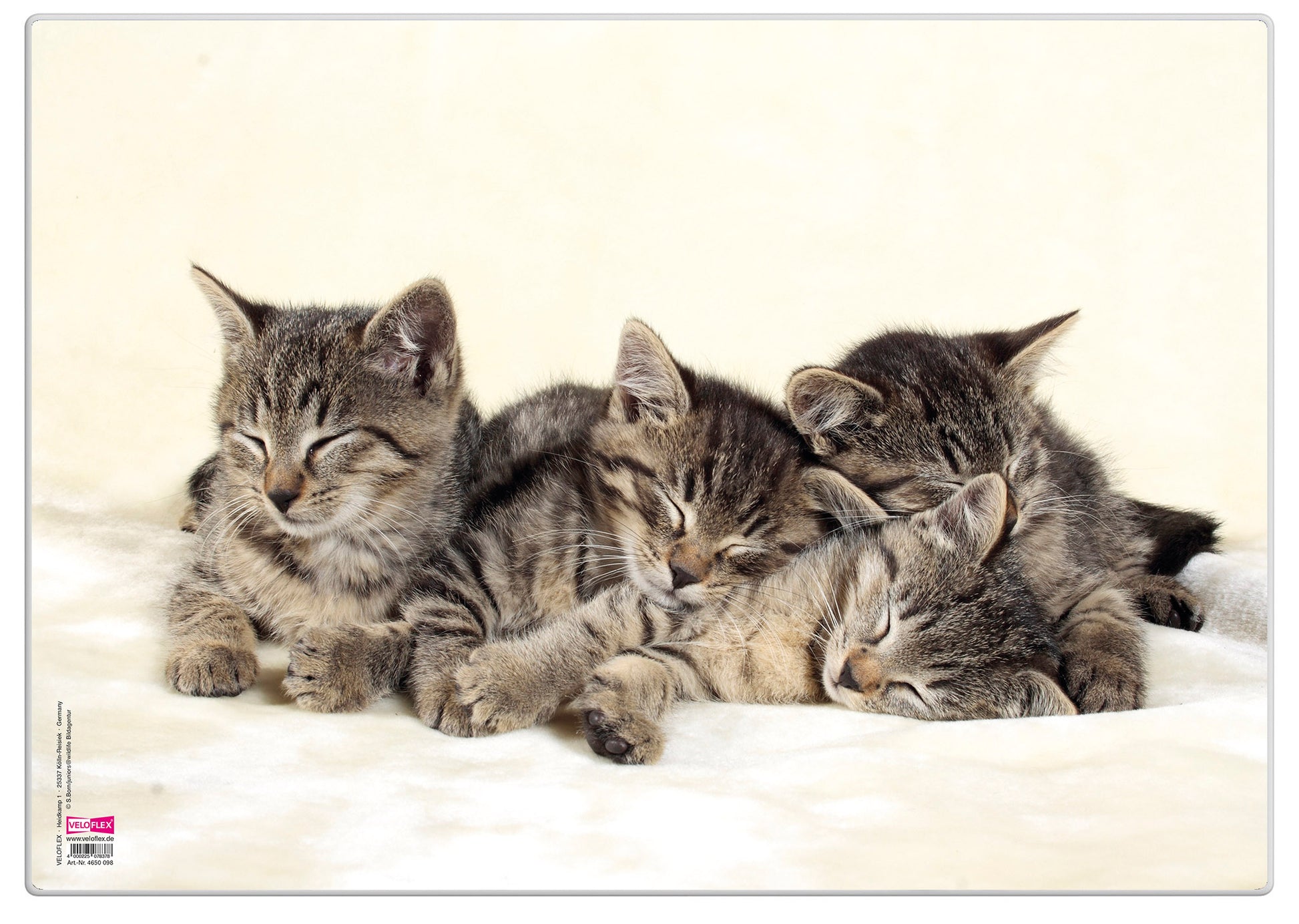 Schreibunterlage Poster Katzen, Größe 35x50cm, rutschfest, abwaschbar