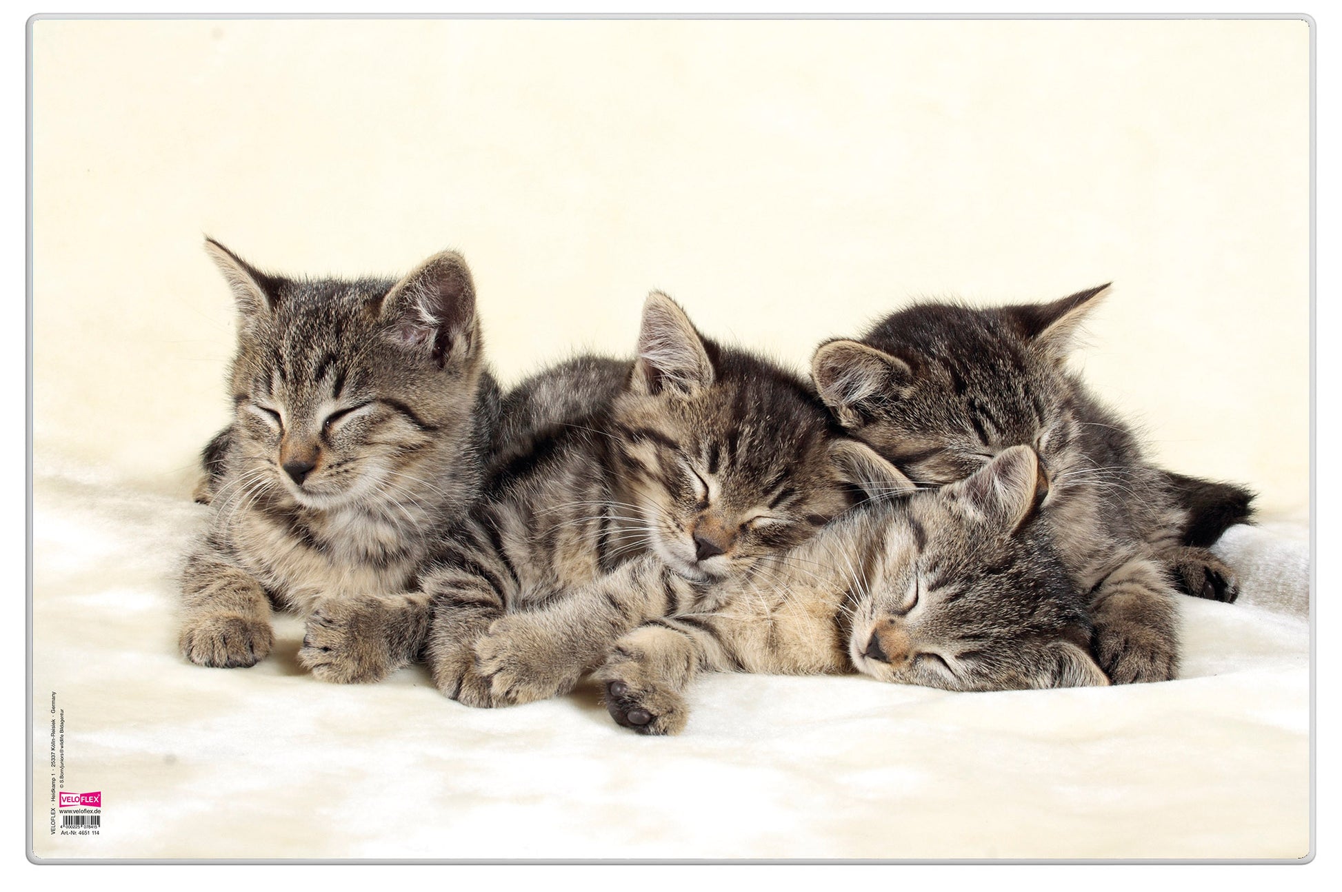 Schreibunterlage Poster Katzen, Größe 40x60cm, transparente Unter- und Oberfolie, abwaschbar